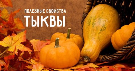 Польза тыквы