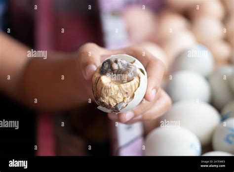 Balut philippines hi-res stock photography and images - Alamy