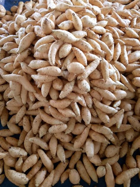 cara menyimpan pisang agar tidak cepat busuk 4