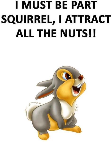 silly squirrel rcomedycemetery