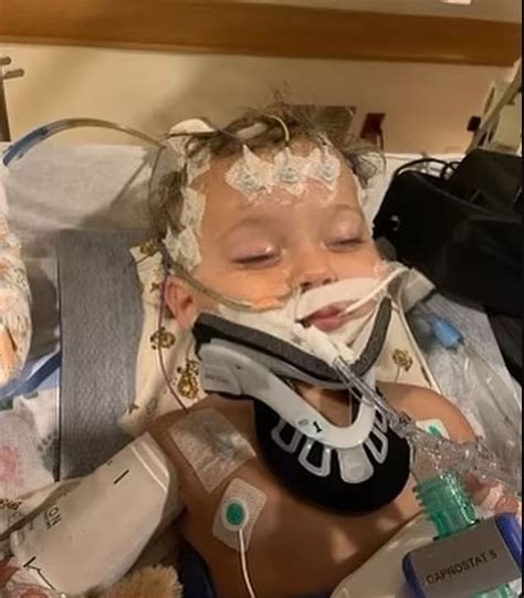 Sharon Stone pays tribute to brother Patrick after his sudden death