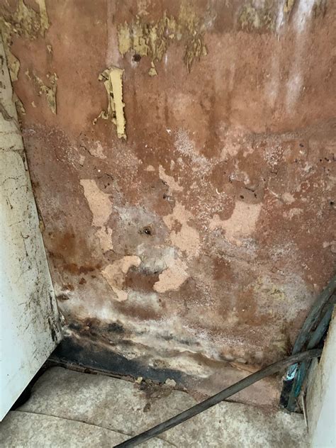 Damp Investigation Survey | Max Damp Proofing