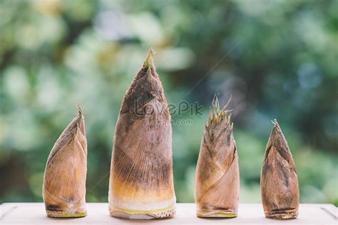 Fresh Bamboo Shoots Picture And HD Photos | Free Download On Lovepik