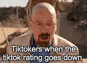 tiktok   nutshell imgflip