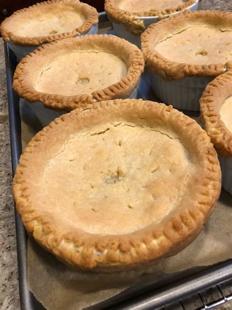 Best Chicken Pot Pie Ever – Fran's Favs