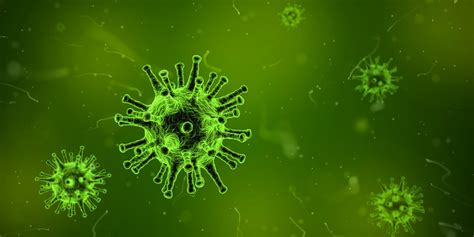 virus  cuaderno de cultura cientifica