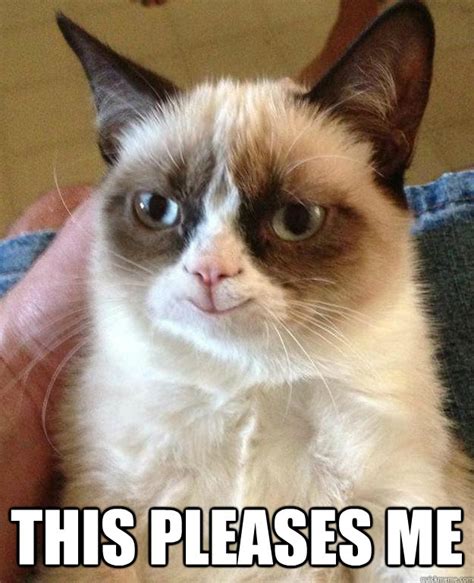 this pleases me - happy grumpy cat - quickmeme