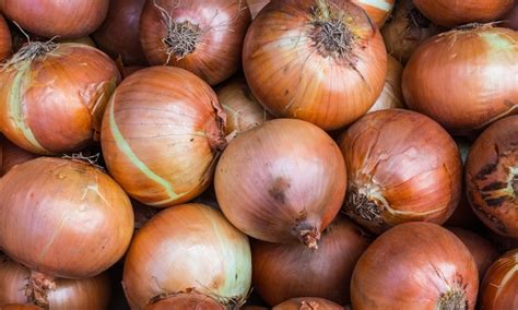 Cebola É Fruta Ou Legume - Guia: como escolher frutas, legumes e verduras na feira - Vivo Leve