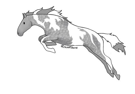 Dapple Grey Horse Jumping by MythicWolfsbane on DeviantArt