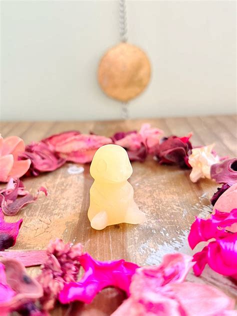 You Won T Wait To See How Anna Louise Her Life Transformed After Surfacing news