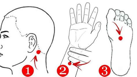 Stimulează aceste puncte | Reflexology pressure points, Reflexology, Organs