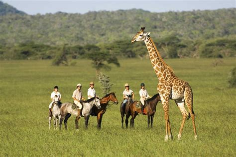 horseback safaris riding safaris  africa safari lodges riding