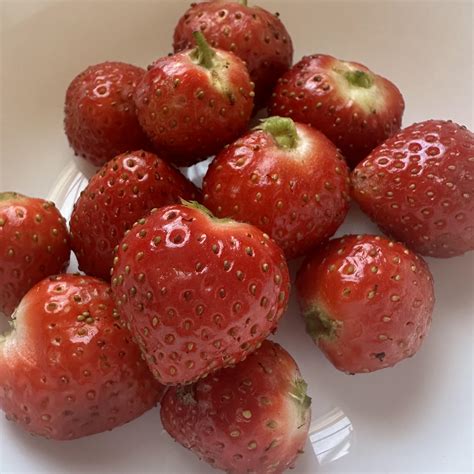 The free dogs source that will completely warm your heart today 15