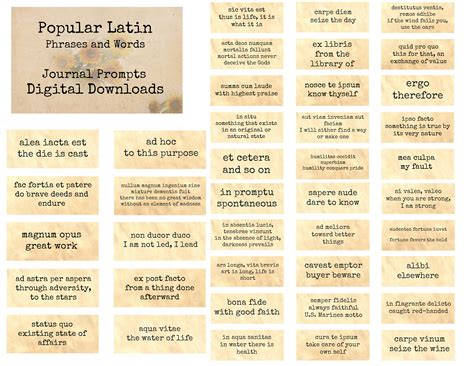 Latin Words
