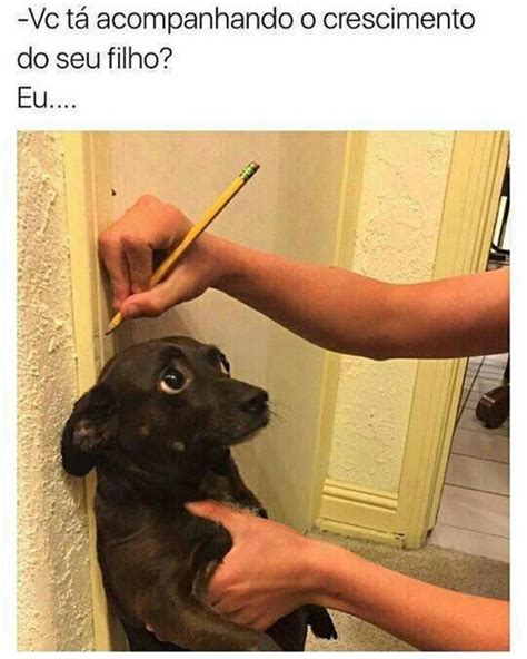 Vc tá acompanhando o crescimento do seu filho? Eu... - Memes