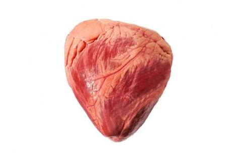 beef heart kipco damaco group