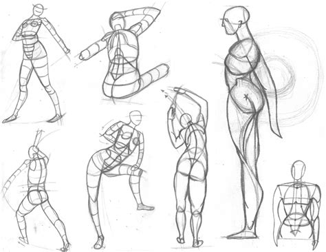 Sketches of Human Anatomy – Jenn Swanson
