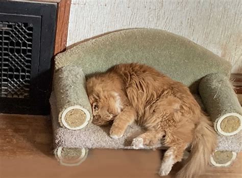 William stays warm. – Learning Strategies