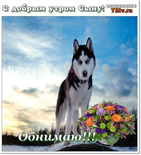 Сыну - "С добрым утром Сын"! » 72tv.ru - Картинки и открытки, гифки ...