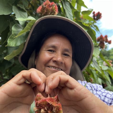 Rosmery medicina Natural