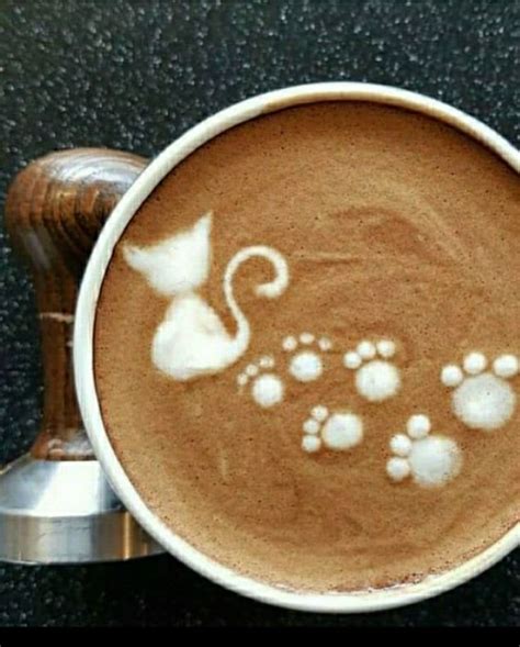 Easy animal latte art | Animal latte art ideas, Cat latte design