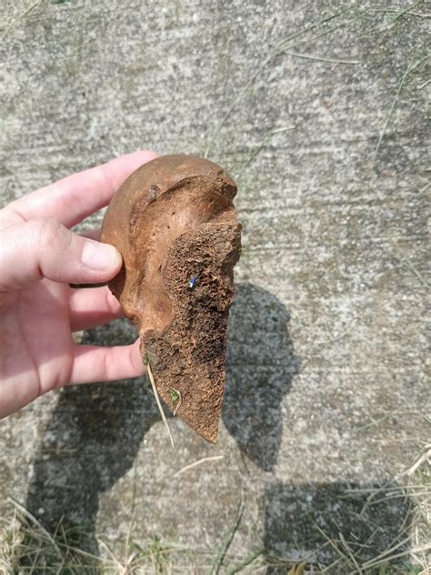 Found while digging out a retaining wall. : r/whatisthisbone