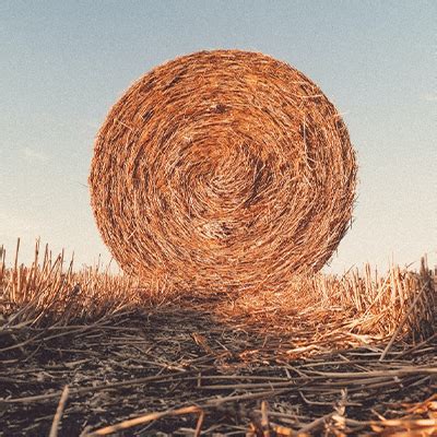 hay absolute fine aromatics nz