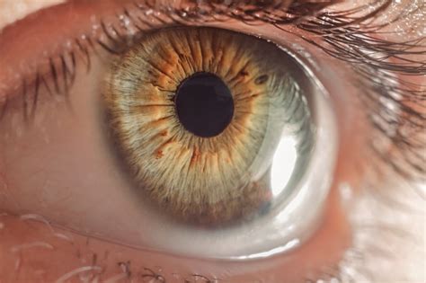 O Que Significa Oculares - Saúde Ocular: Veja como melhorar e prevenir doenças oculares