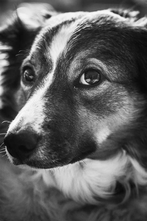 Wife+Spreading+Legs Photos, Download The BEST Free Wife+Spreading+Legs