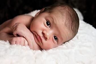 baby, portrait, boy, little boy, sweet, face, christening | Pikist