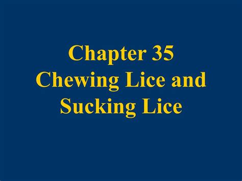 PPT - Chapter 35 Chewing Lice and Sucking Lice PowerPoint Presentation ...