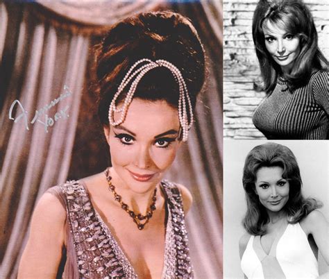 Francine York : r/ClassicScreenBeauties