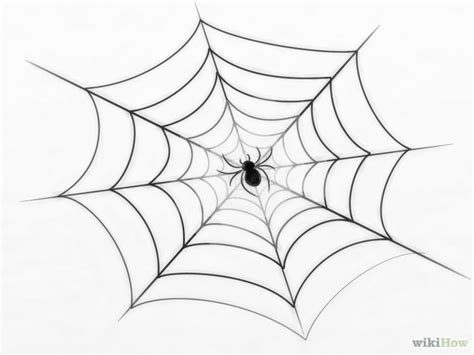 How to Draw a Spider Web | 3 Ways to Draw a Spider Web