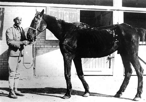 Brooke marks 90 years helping working equines - Your Horse
