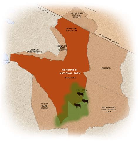 The Great Wildebeest Migration Map | While in Africa