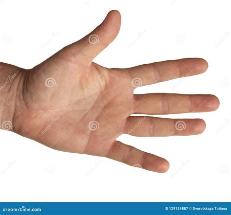 Hand Counting With Fingers On White Background Stock Image - Image of ...