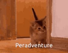 Peradventure GIF - Peradventure - Discover & Share GIFs