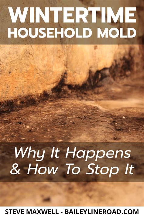WINTERTIME HOUSEHOLD MOLD: Why It Happens & How to Stop It