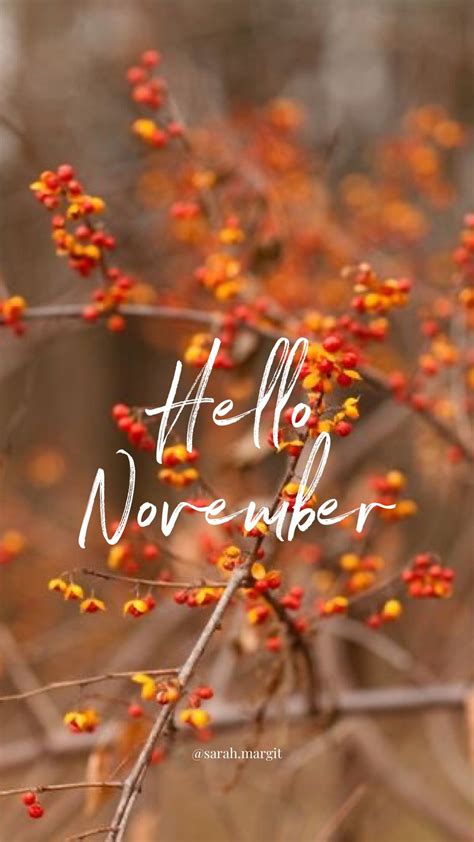 Hello November Wallpaper | Hello november, November wallpaper, Fall ...