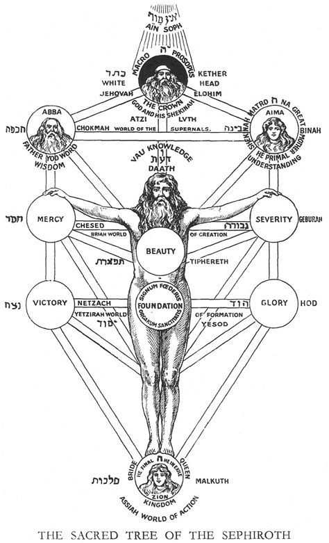 sacred tree   sephiroth tree  life occult kabbalah