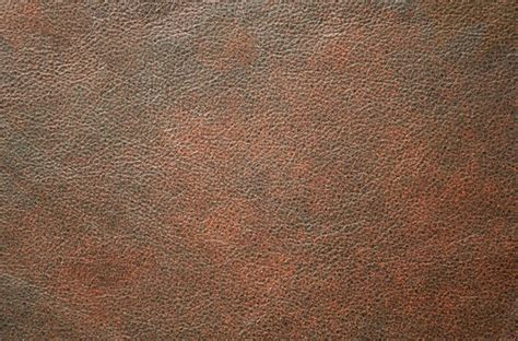 tekstur kulit gratis psddesaincom