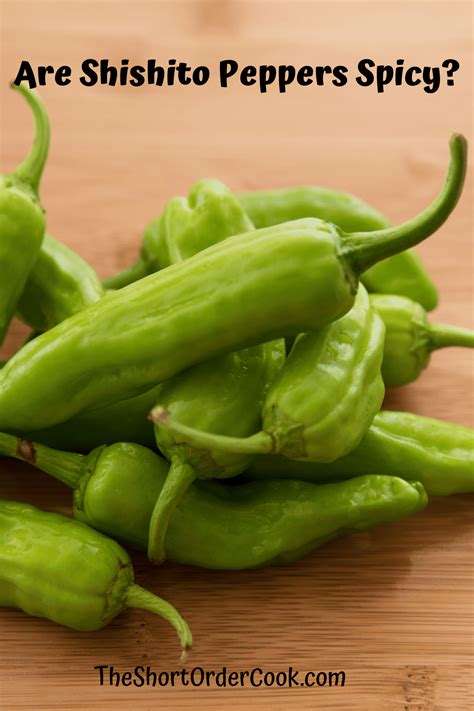 Are Shishito Peppers Spicy? - The Short Order Cook