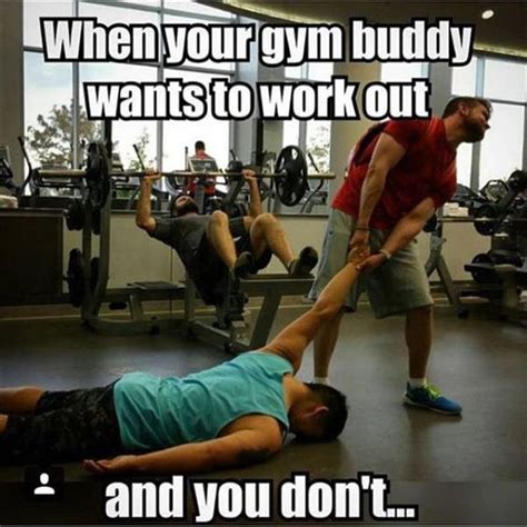 Funny pictures | Gym quote, Workout memes, Gym humor