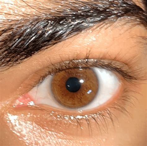 What colour are my eyes? Is it amber or hazel?? : r/eyes