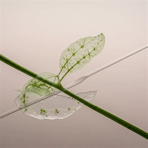 What Are the Common Mistakes Made by Novice Minimalist Investors? → Learn