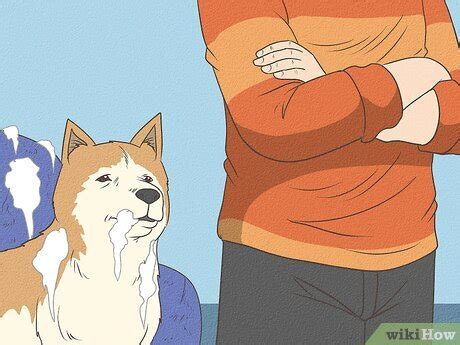 how to keep a dog calm in a crate