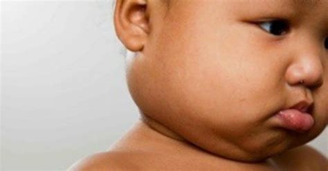 detail foto kelenjar getah bening koleksi nomer