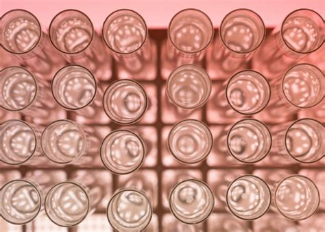 colourless solution testtubes   stand stock photo  image