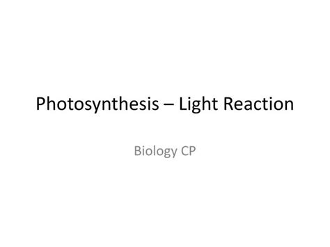 PPT - Photosynthesis – Light Reaction PowerPoint Presentation, free download - ID:6850860