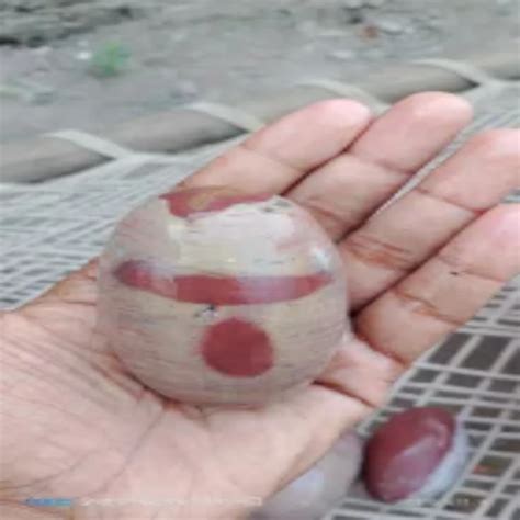 stone original tilakdhari shivling home   rs   bhikangaon